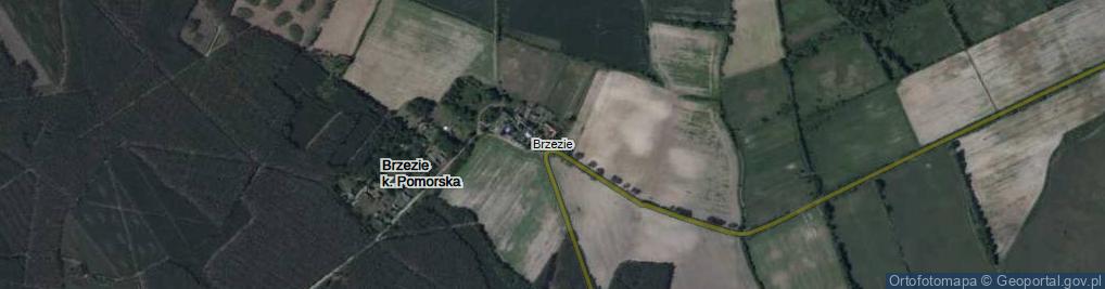 Zdjęcie satelitarne Dąbrowskiej Marii ul.